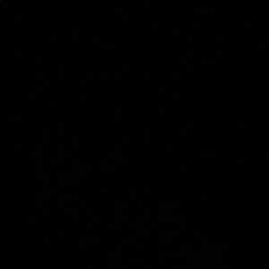 Meet your Posher, Caitlin